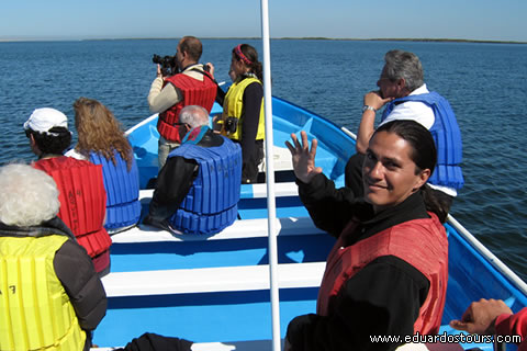 Whale Watching Tour (Seasonal) 4