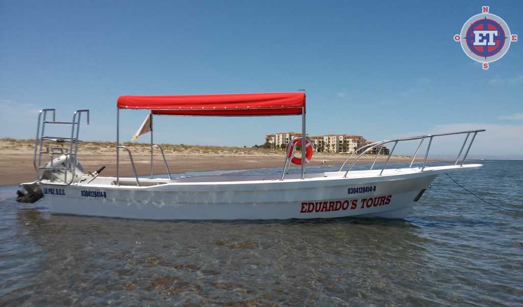 Tours and Water Activities in Baja California Sur